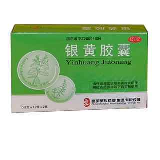 银黄胶囊说明书|用法用量|注意事项
