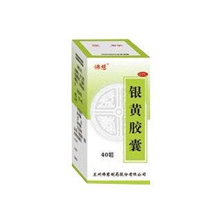 银黄胶囊说明书|用法用量|注意事项