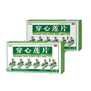 穿心莲片(十万山)