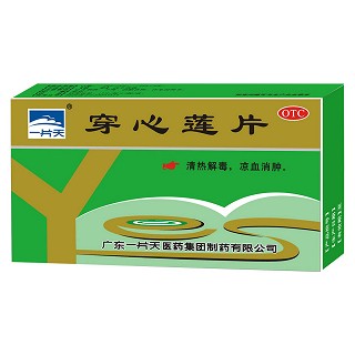 穿心莲片说明书|用法用量|注意事项