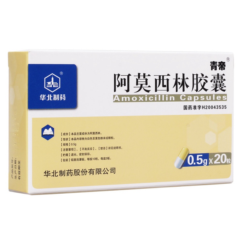 阿莫西林胶囊(青帝)说明书|用法用量|注意事项