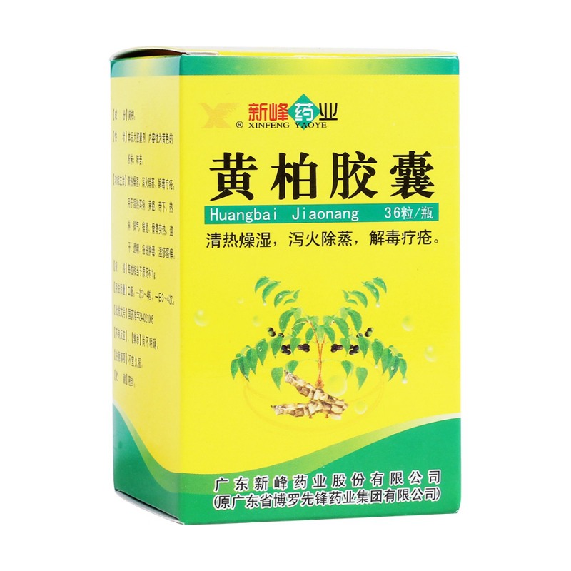 黄柏胶囊(先锋药业)说明书|用法用量|注意事项