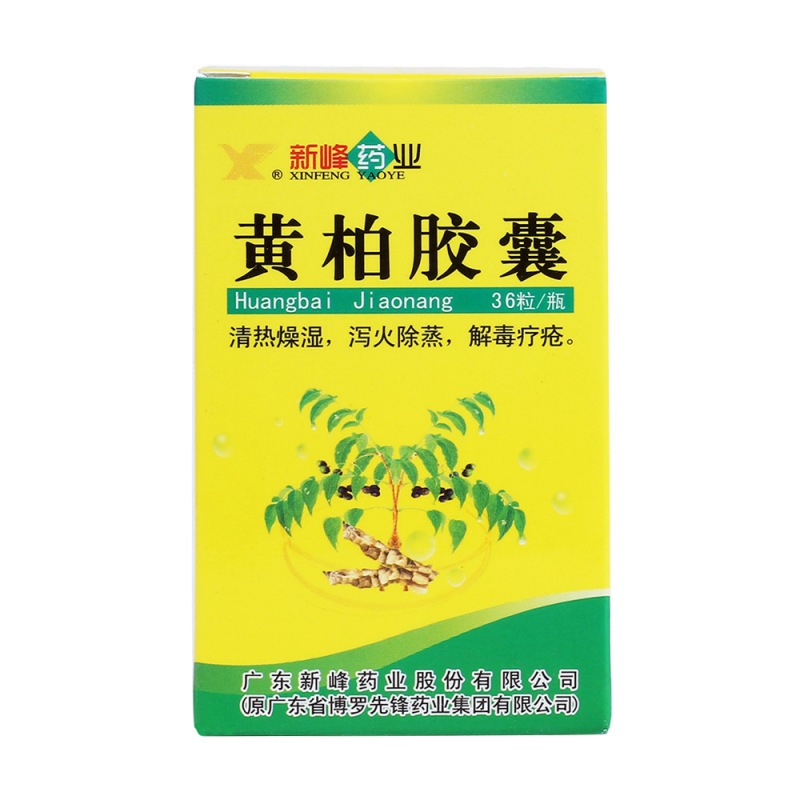 黄柏胶囊(先锋药业)