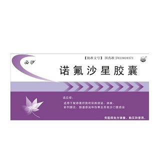 诺氟沙星胶囊(必沙)说明书|用法用量|注意事项