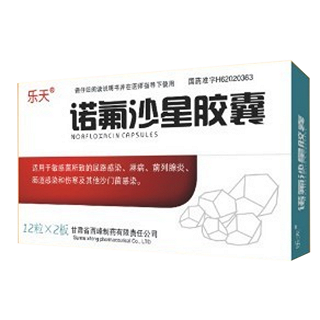 诺氟沙星胶囊(乐天)说明书|用法用量|注意事项