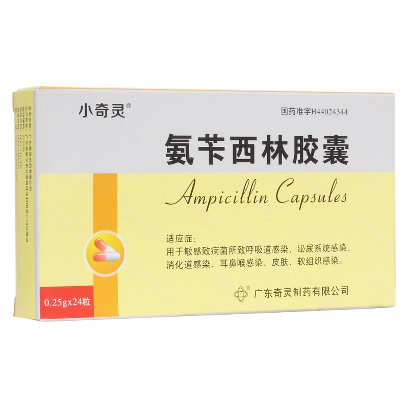 氨苄西林胶囊(小奇灵)说明书|用法用量|注意事项