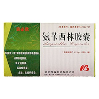 氨苄西林胶囊说明书|用法用量|注意事项