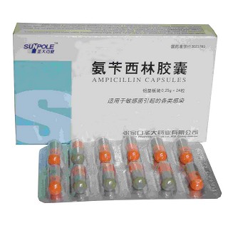 氨苄西林胶囊