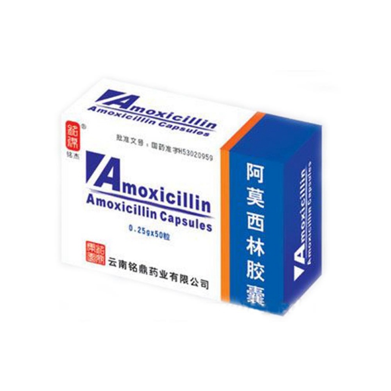 阿莫西林胶囊说明书|用法用量|注意事项