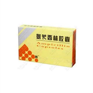 氨苄西林胶囊说明书|用法用量|注意事项