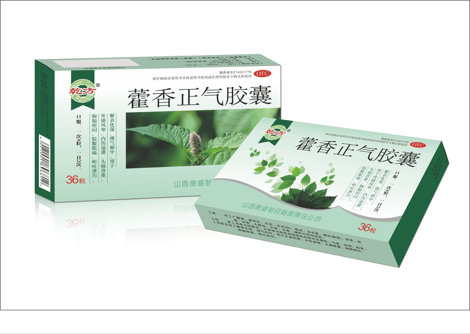 藿香正气胶囊(天元)说明书|用法用量|注意事项