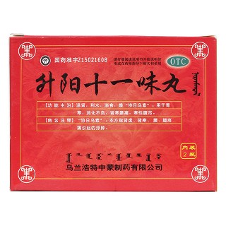 升阳十一味丸(红城)