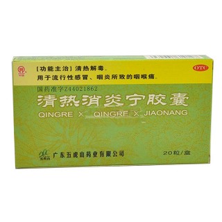 清热消炎宁胶囊(竹安)说明书|用法用量|注意事项