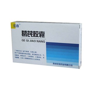 葛芪胶囊(宏奇)说明书|用法用量|注意事项
