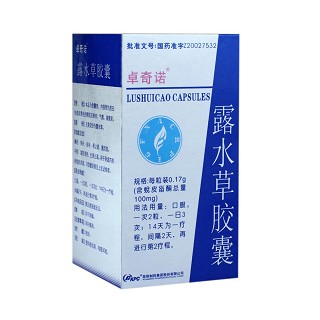 露水草胶囊说明书|用法用量|注意事项