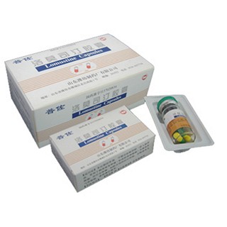 洛莫司汀胶囊说明书|用法用量|注意事项